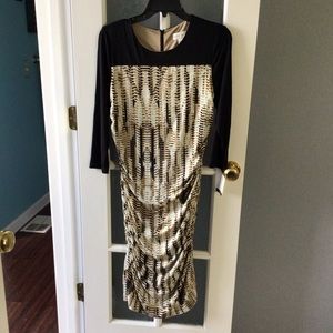 NWT Doncaster below the knee dress